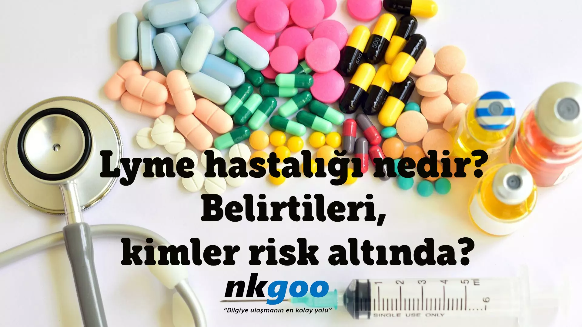 Lyme hastalığı nedir? Belirtileri, kimler risk altında?