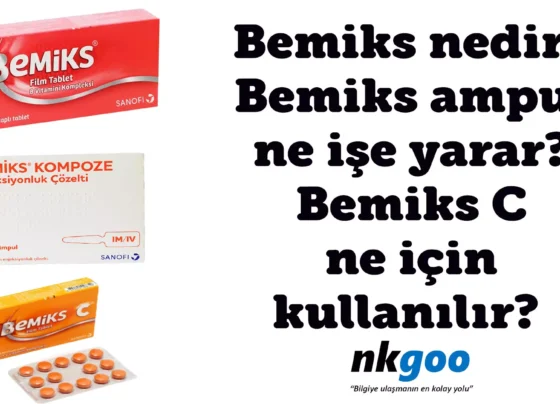 bemiks nedir