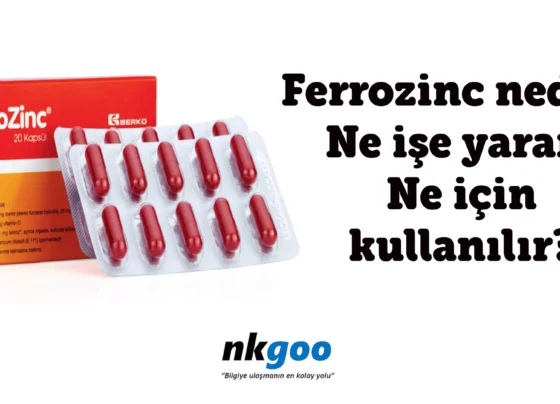 ferrozinc nedir