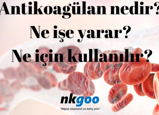 Antikoagulan nedir