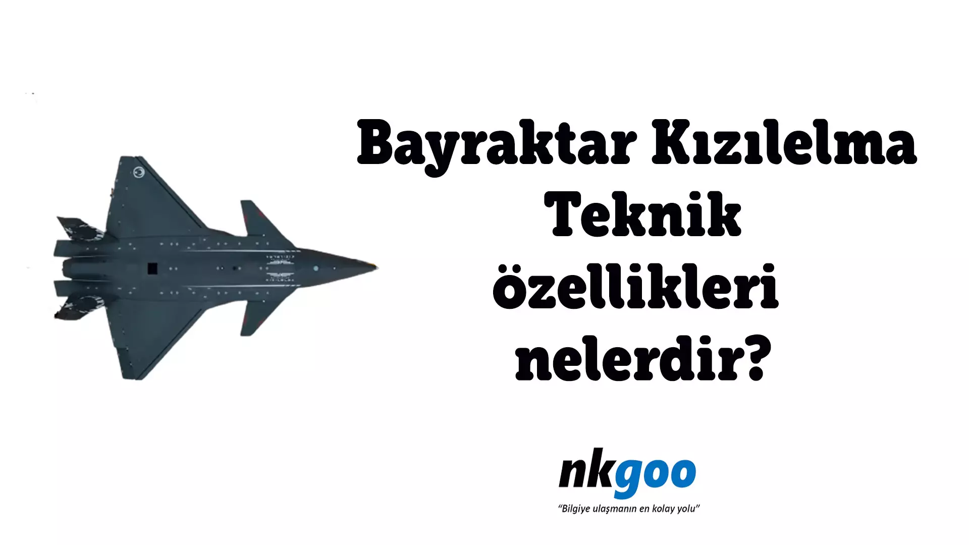 Bayraktar kızılelma nedir? Teknik özellikleri