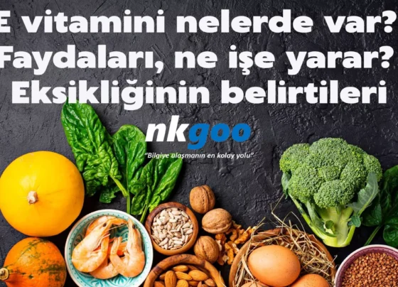 e vitamini nelerde var