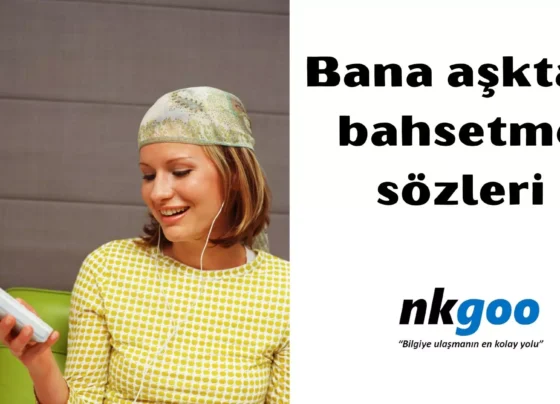 Bana asktan bahsetme