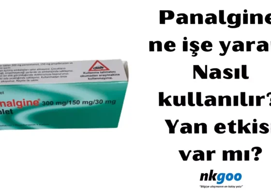 Panalgine ne ise yarar