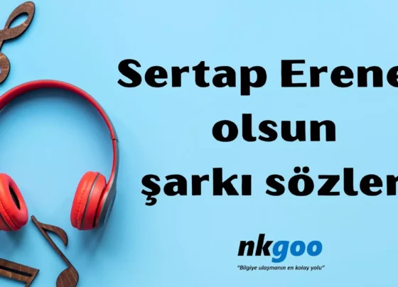 Sertap Erener olsun şarkı sözleri