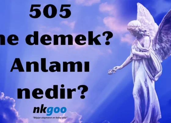 505 ne demek