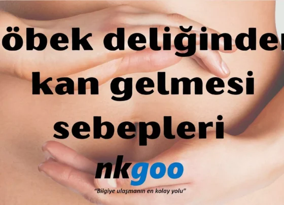 Gobek deliginden kan gelmesi