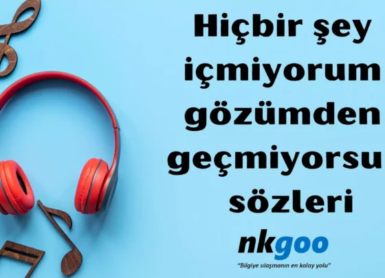 Hicbir sey icmiyorum gozumden gecmiyorsun sozleri