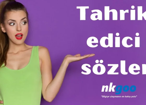 Tahrik edici sozler