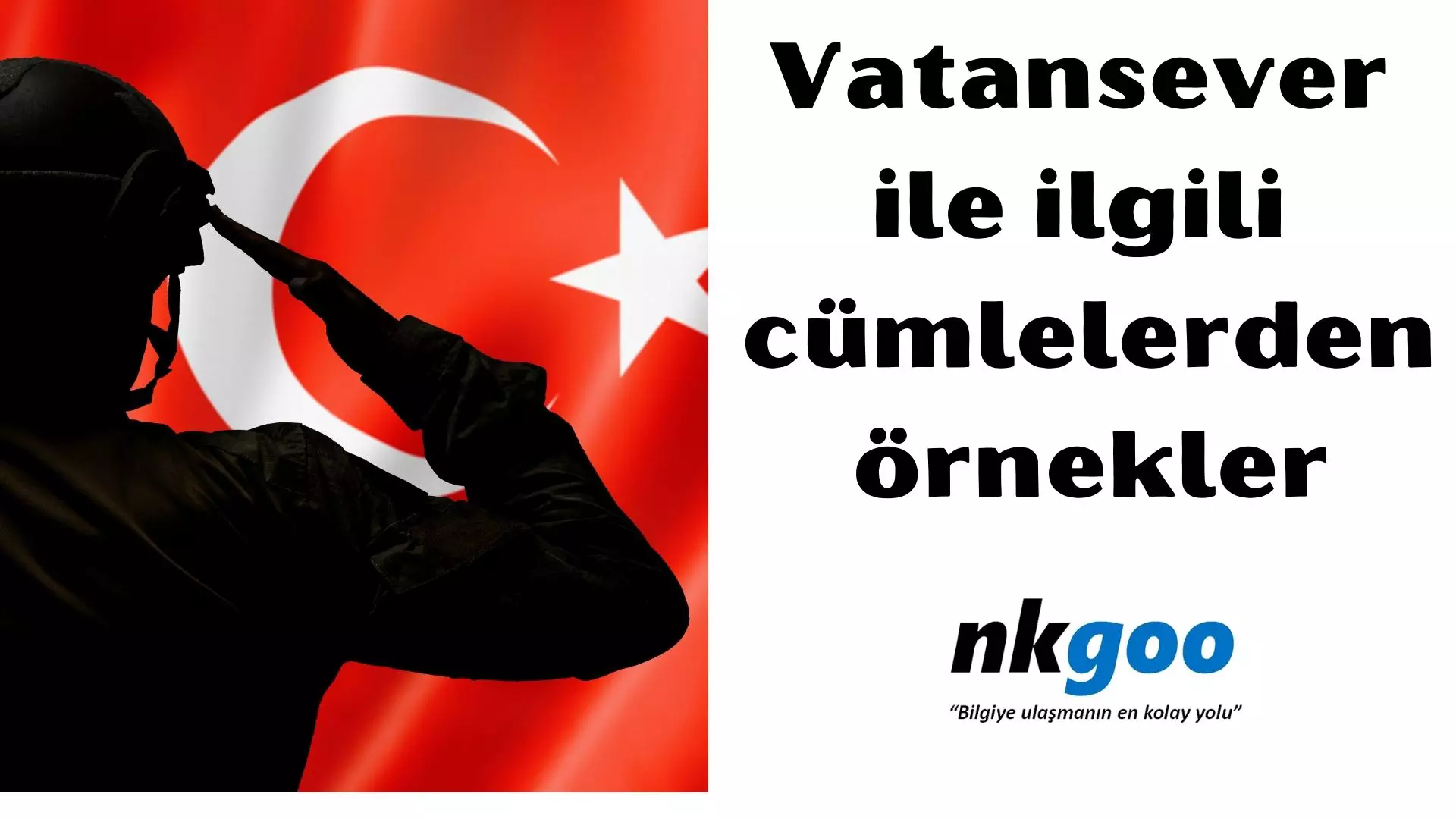 Vatansever ile ilgili cümlelerden 14 örnek