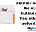 Zaldiar nedir