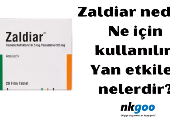 Zaldiar nedir