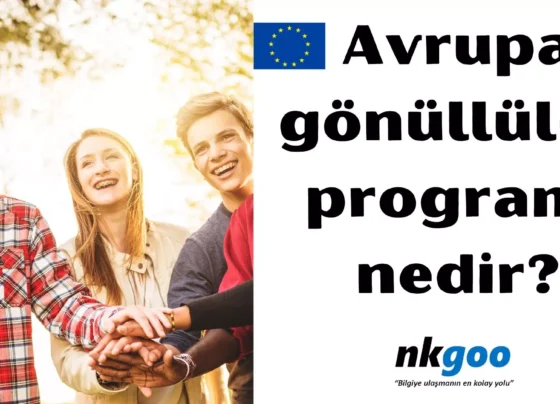 Avrupa gonulluluk programi