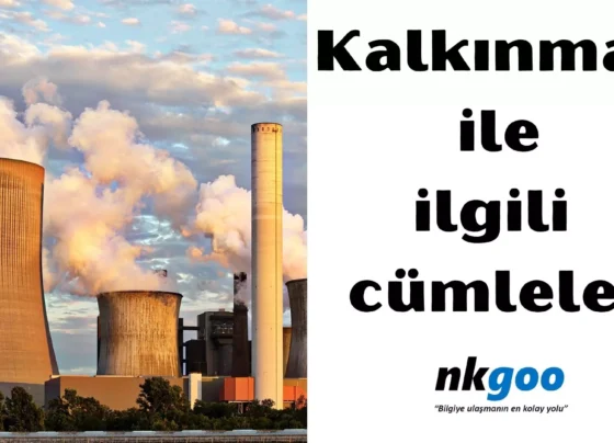 Kalkinmak ile ilgili cumleler