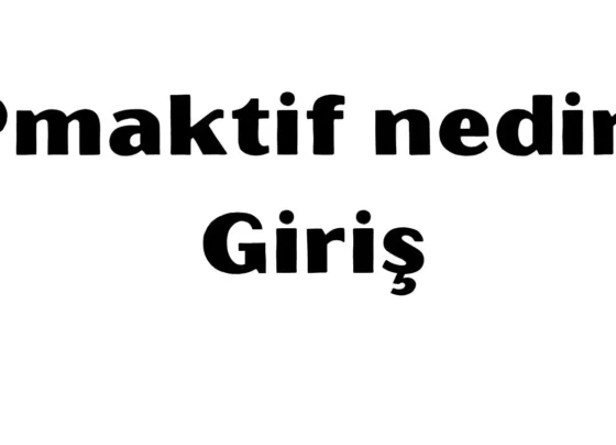 Pmaktif giris yap