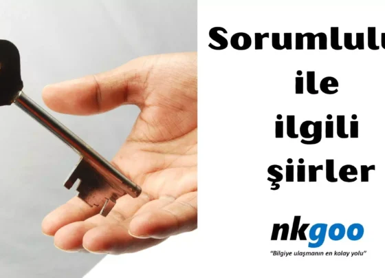 Sorumluluk ile ilgili siirler