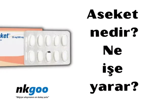 aseket nedir