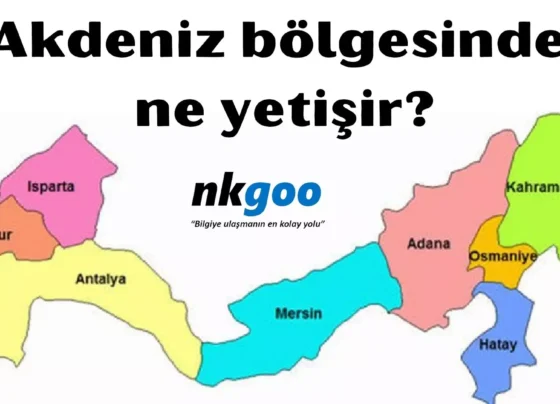 Akdeniz bölgesinde ne yetişir