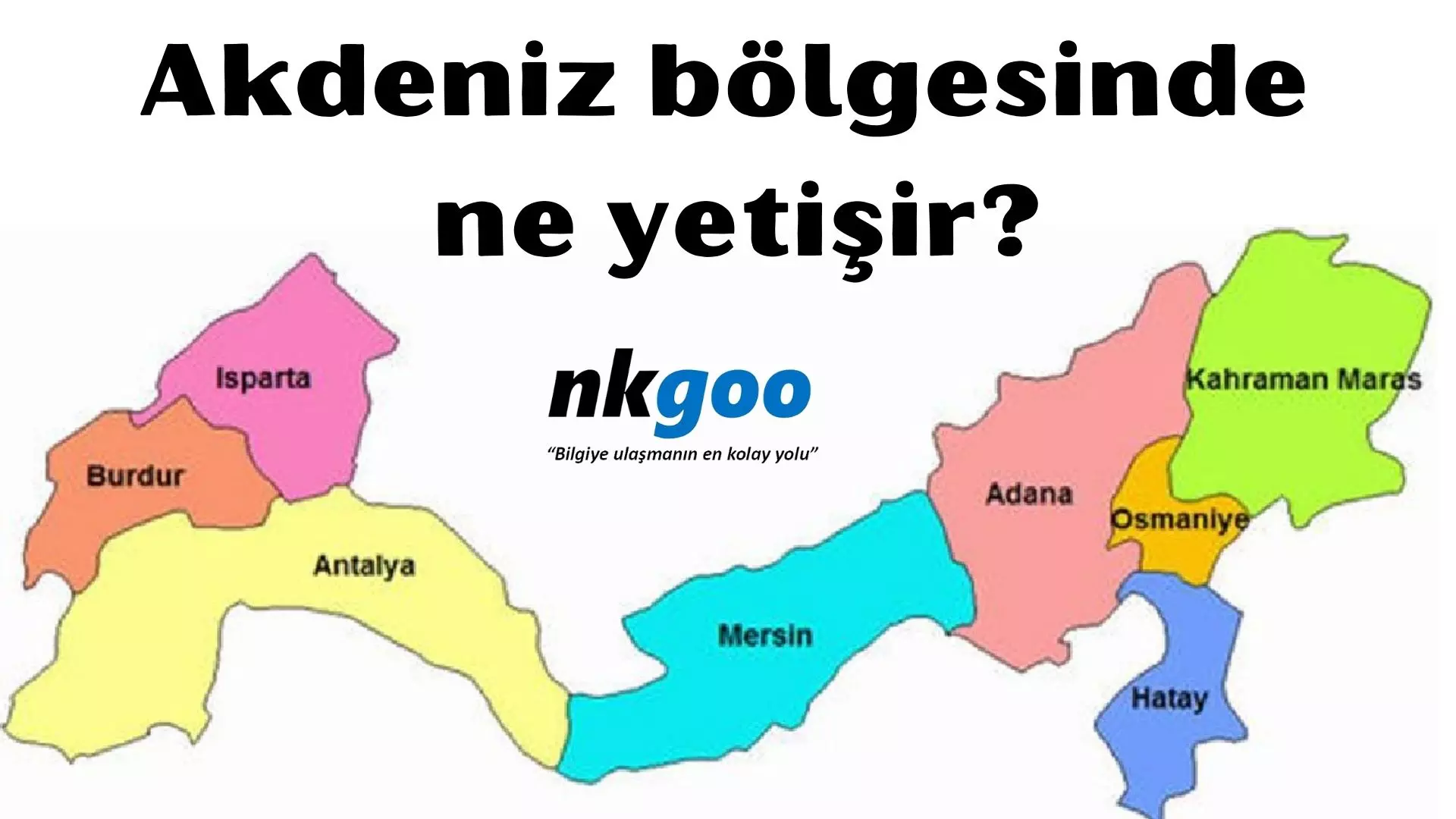 Akdeniz bölgesinde ne yetişir? 20 ürün