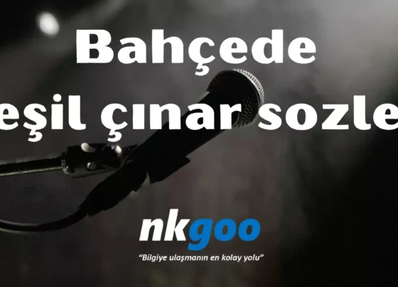 Bahcede yesil cinar sozleri