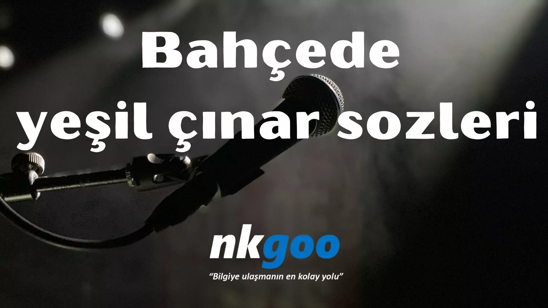 Bahçede yeşil çınar sozleri