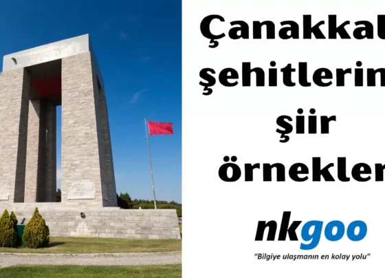 Canakkale sehitlerine siir