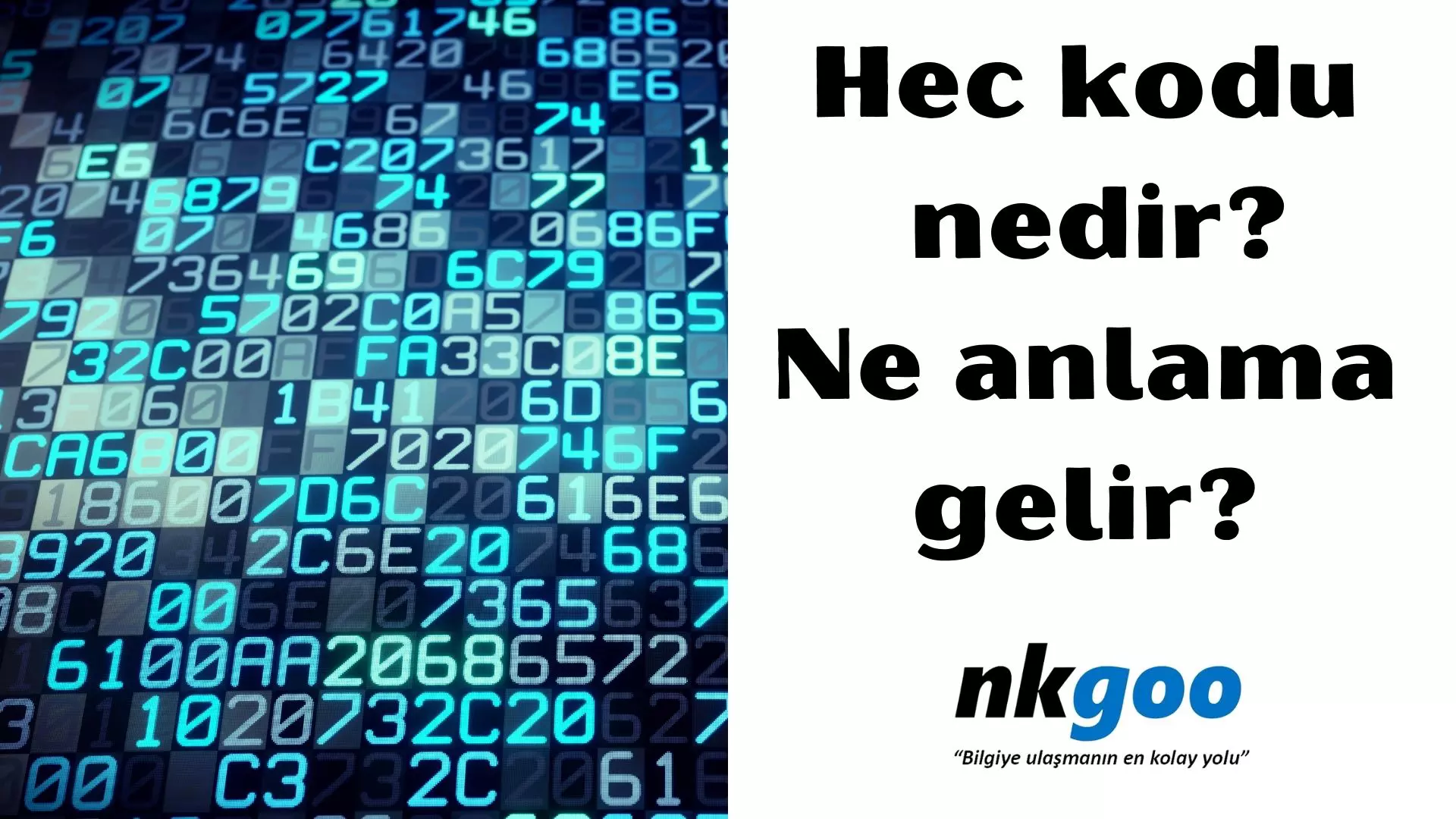 Hec kodu nedir? Ne anlama gelir?