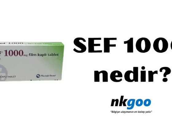 SEF 1000 nedir