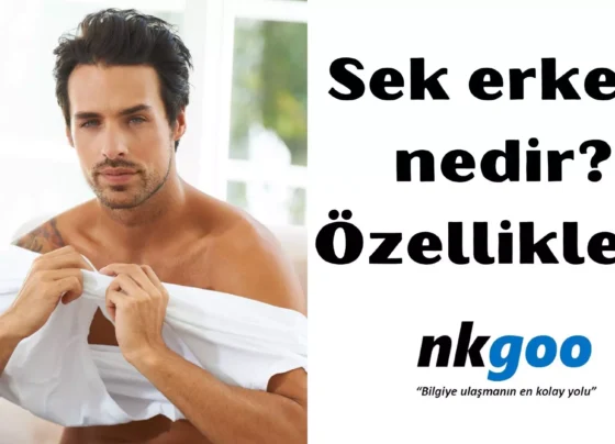 Sek erkek nedir