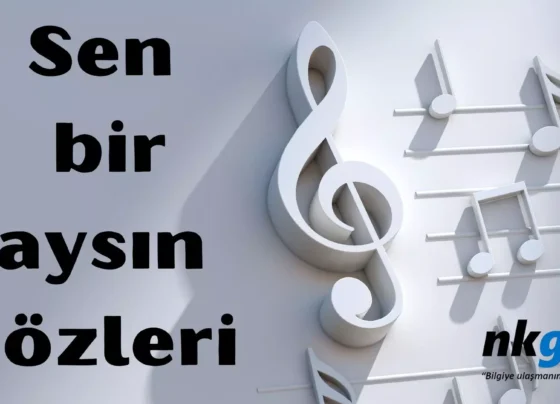 sen bir aysin sozleri