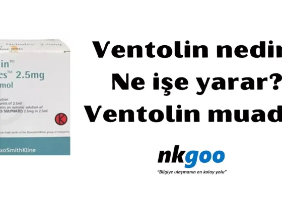 Ventolin nedir