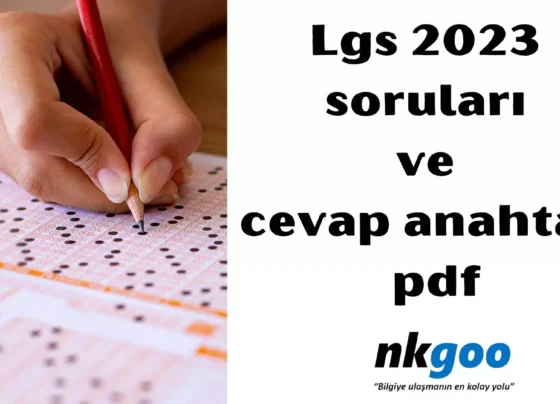 Lgs 2023 soruları