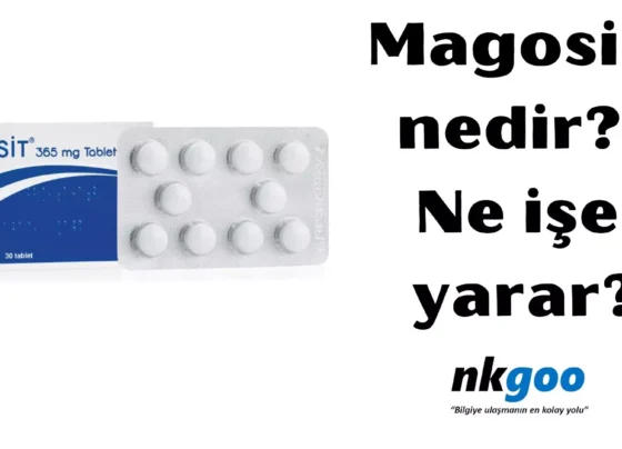 Magosit nedir