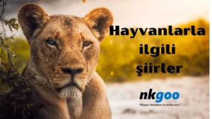 Hayvanlarla ilgili şiir 