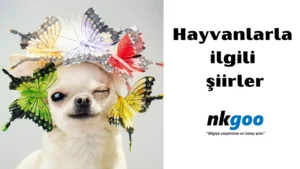 Hayvanlarla ilgili şiir 