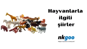 Hayvanlarla ilgili şiir 