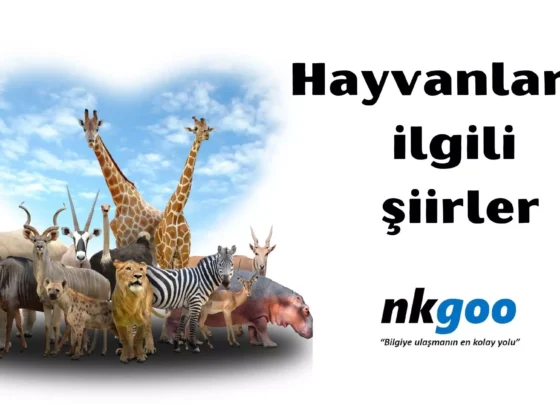 Hayvanlarla ilgili şiir