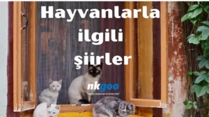 Hayvanlarla ilgili şiir 