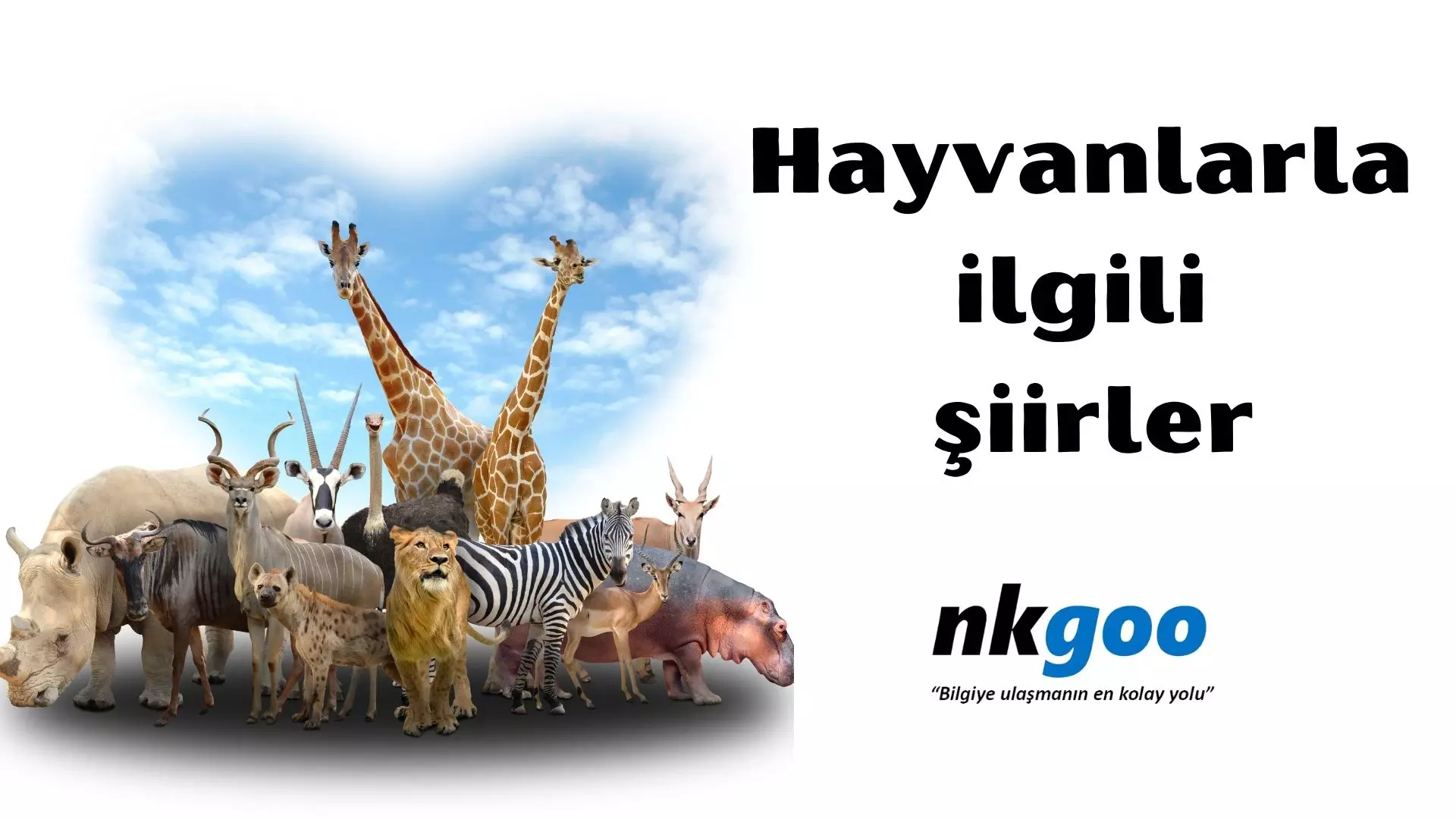 Hayvanlarla ilgili şiir, 32 şiir, 2 ve 3 kıtalık