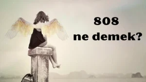 808 ne demek 