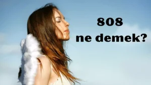 808 ne demek 