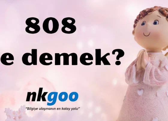 808 ne demek