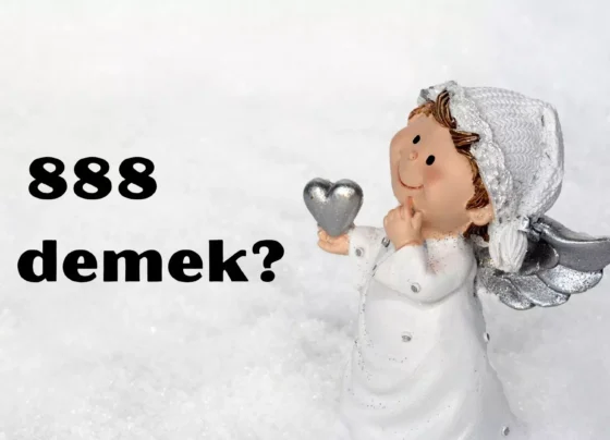 888 ne demek