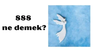 888 ne demek 