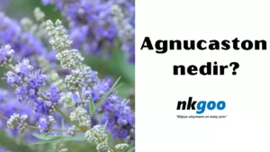 Agnucaston nedir 