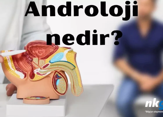 Androloji nedir