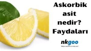 Askorbik asit nedir 