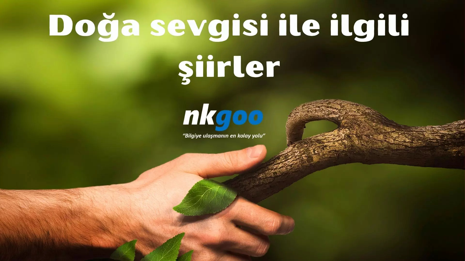 Doğa sevgisi ile ilgili şiirler | 15 şiir