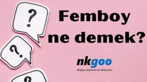 Femboy ne demek 