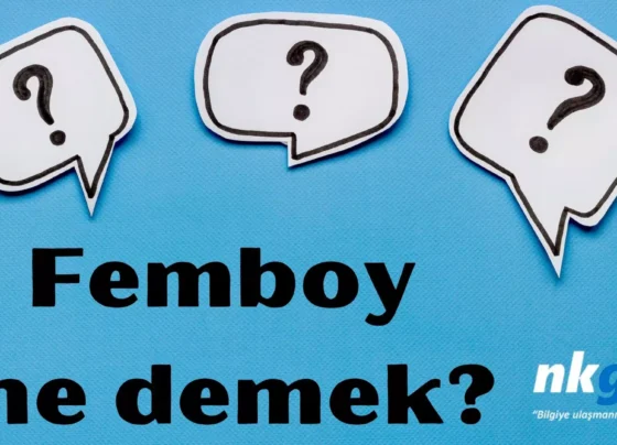 Femboy ne demek